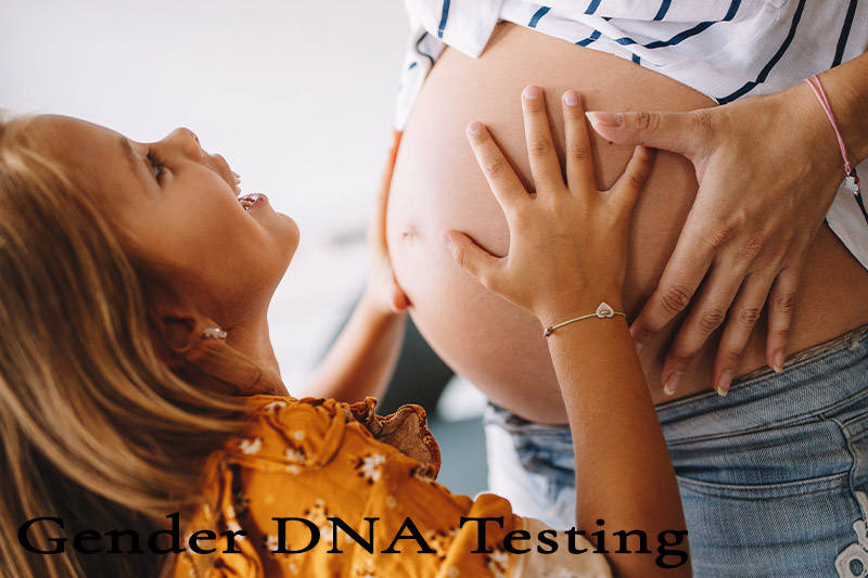 Gender Dna Testing Bozeman Montana